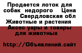 Продается лоток для собак, недорого. › Цена ­ 600 - Свердловская обл. Животные и растения » Аксесcуары и товары для животных   